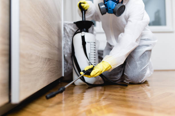 Best Affordable Pest Control Services  in Ben Lomond, CA