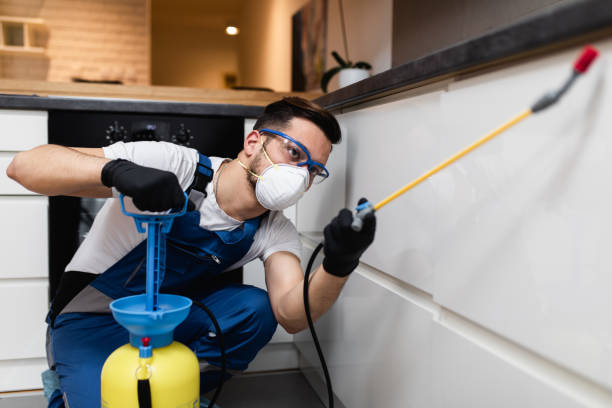 Best Local Pest Control Services  in Ben Lomond, CA