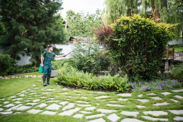 Best Affordable Pest Control Services  in Ben Lomond, CA