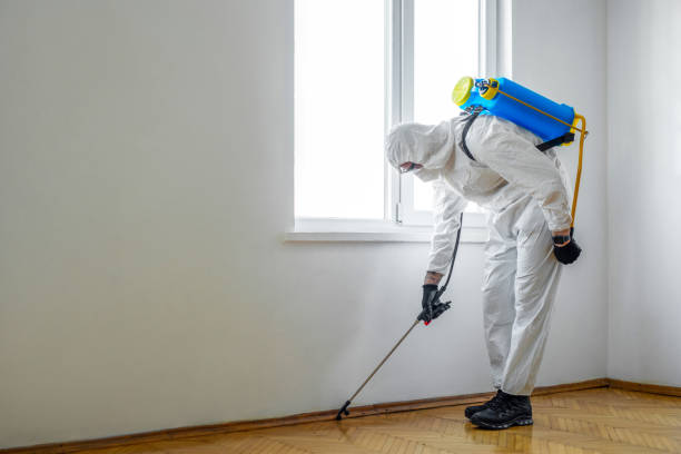 Best Mosquito Control Services  in Ben Lomond, CA