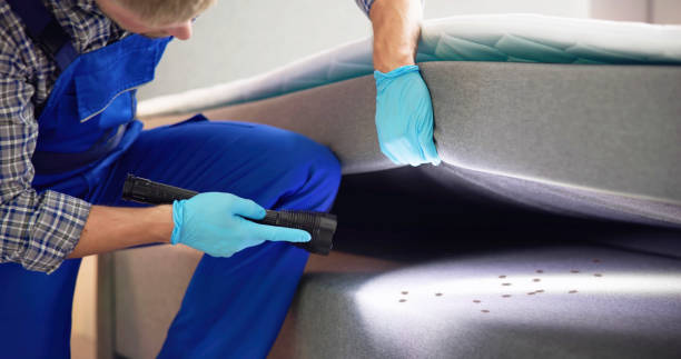 Best Pest Control Treatment  in Ben Lomond, CA